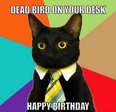 Dead Bird On Your Desk, Happy Birthday