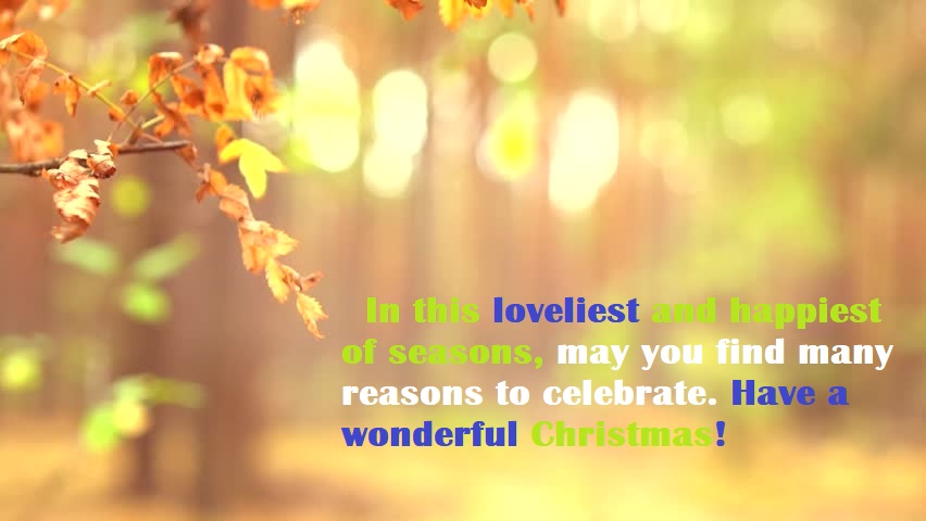 Merry Christmas Quotes Wishes Images 2017