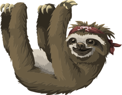 Slothful Celebrations: International Sloth Day Unveils Fascinating Facts & Memorable Quotes!