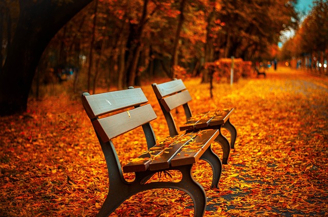 4. Celebrating Cozy ​Evenings: Quotes and Images that Capture the Essence of Fall Nights
