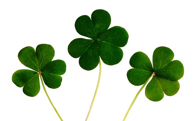 Sprinkle Some‌ Magic Dust: ​Heartwarming Wishes ⁢to⁣ Spread Irish Luck on St. ‍Patrick's Day!
